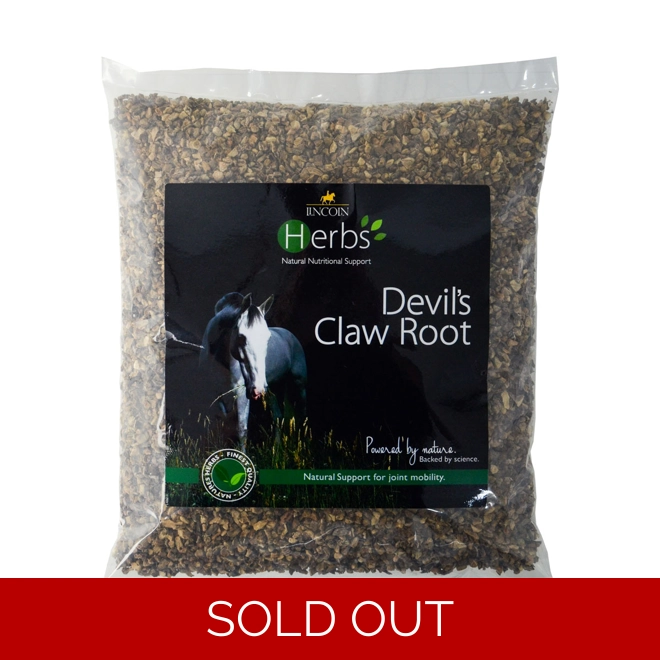 product Image for Lincoln Herbs Devil's Claw Root - 1kg